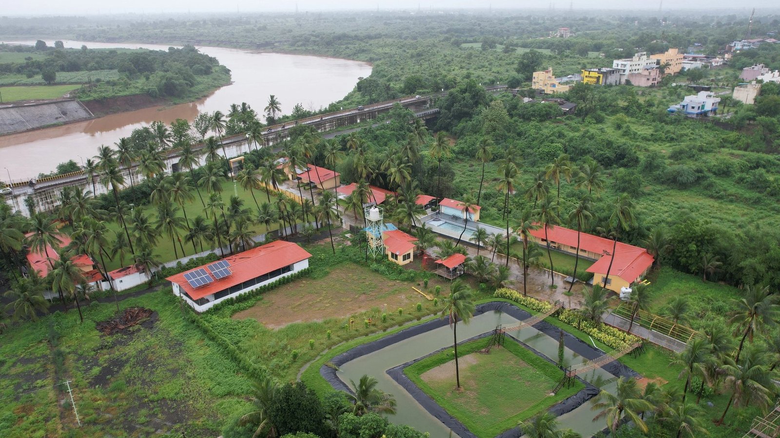 Coconut groves and walkways